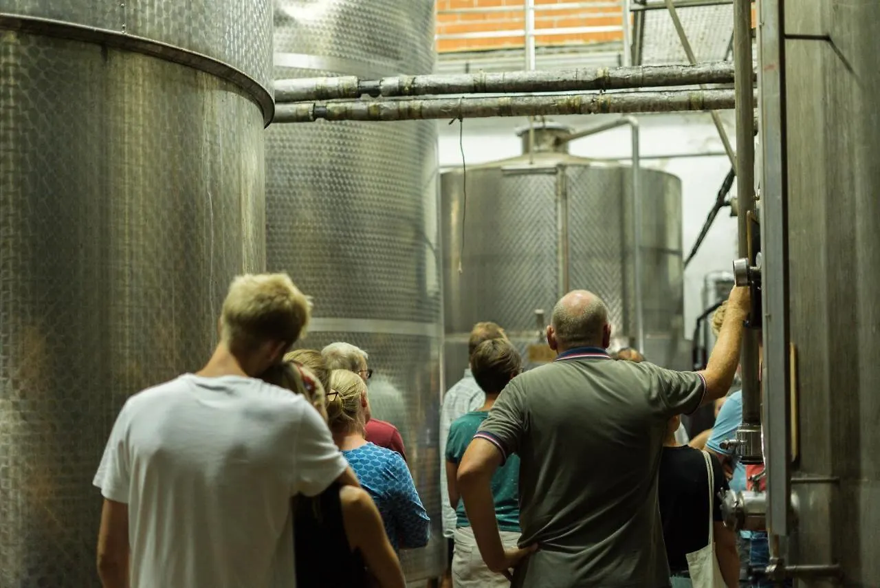 Agriturismo Streda Wine & Country Holiday Vinci Italie