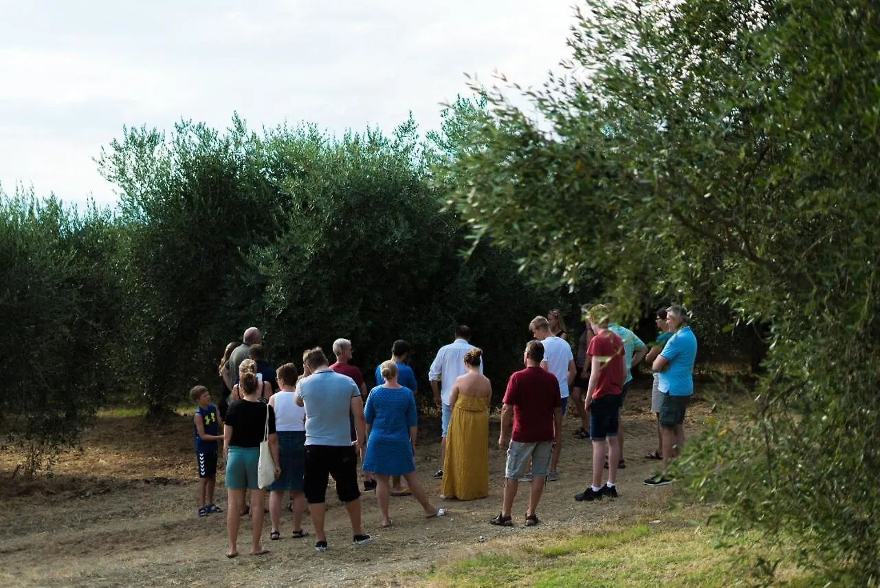 Agriturismo Streda Wine & Country Holiday Vinci Italy