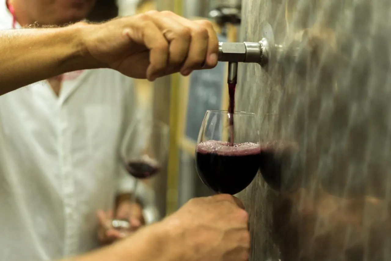 Agriturismo Streda Wine & Country Holiday Vinci 0*,  Italy